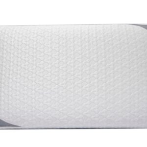 Embrace Ice Gel Memory Foam Pillow